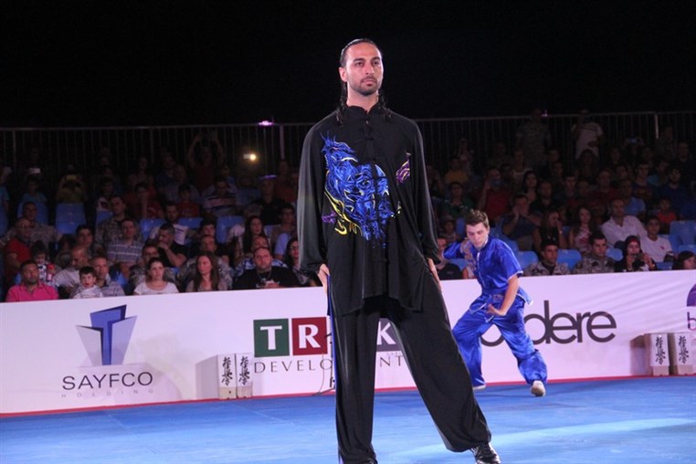 Martial Arts Festival